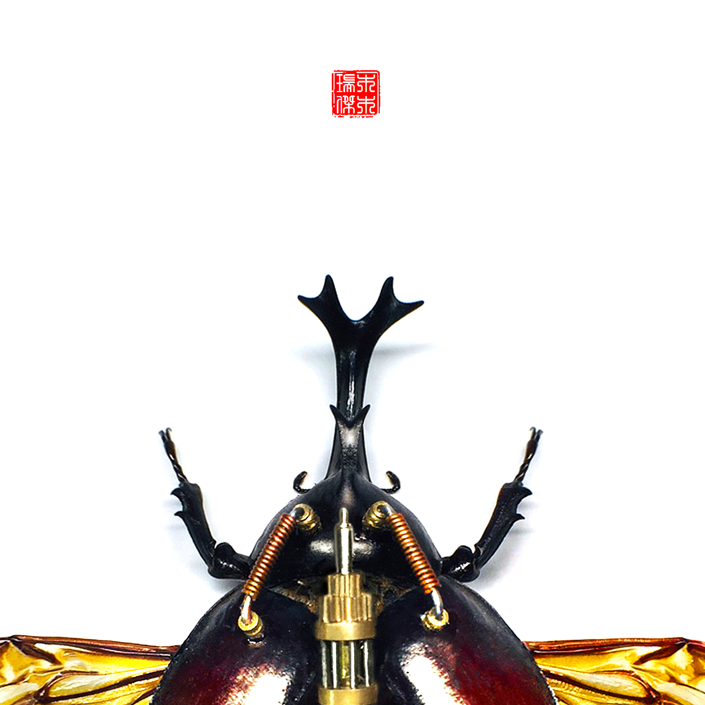 insect，specimen，Uang，Steampunk，handicraft，original，