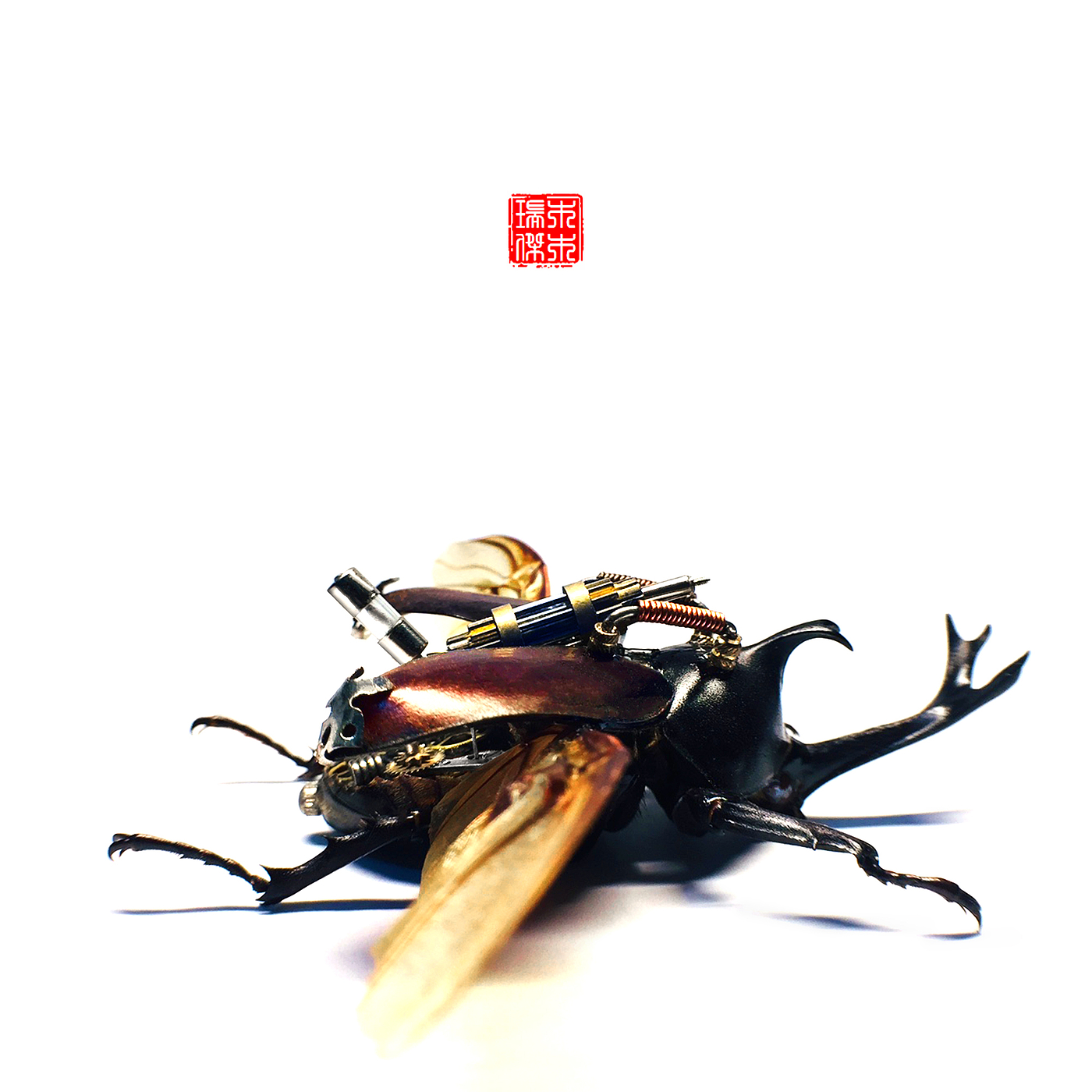 insect，specimen，Uang，Steampunk，handicraft，original，