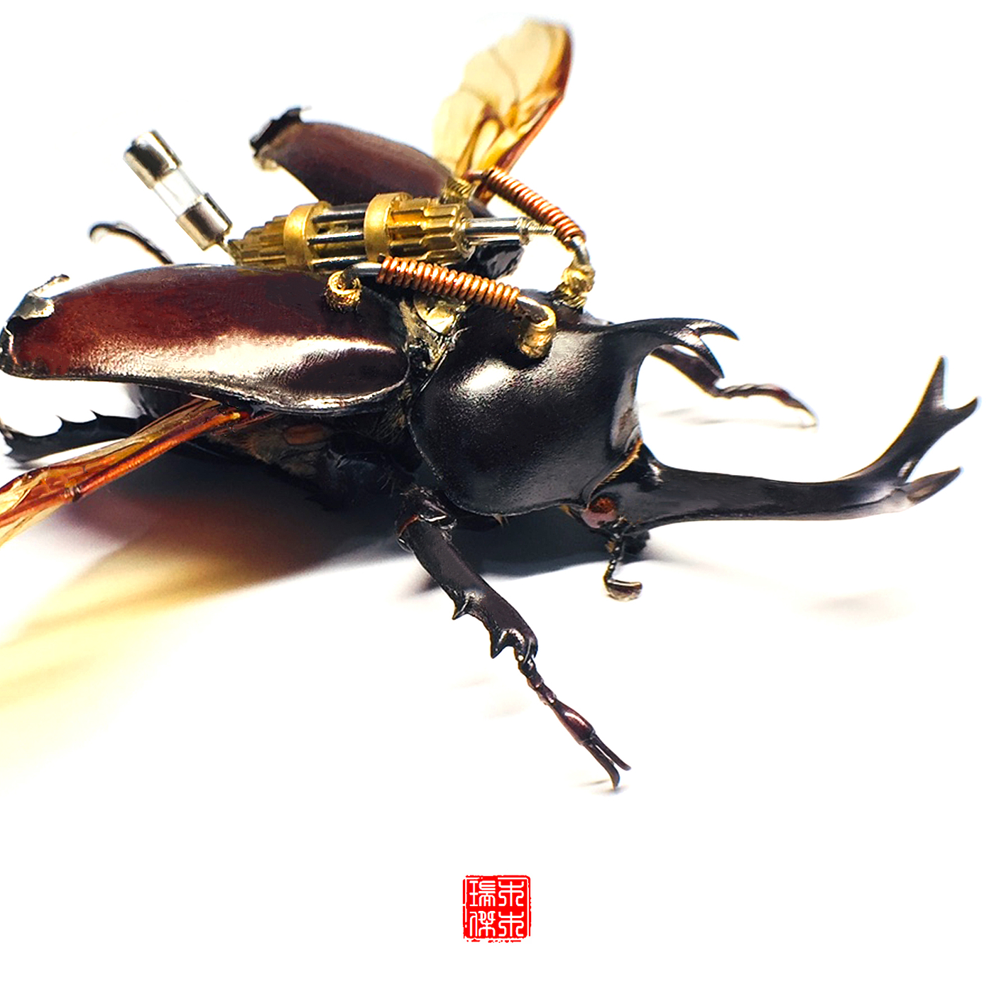 insect，specimen，Uang，Steampunk，handicraft，original，