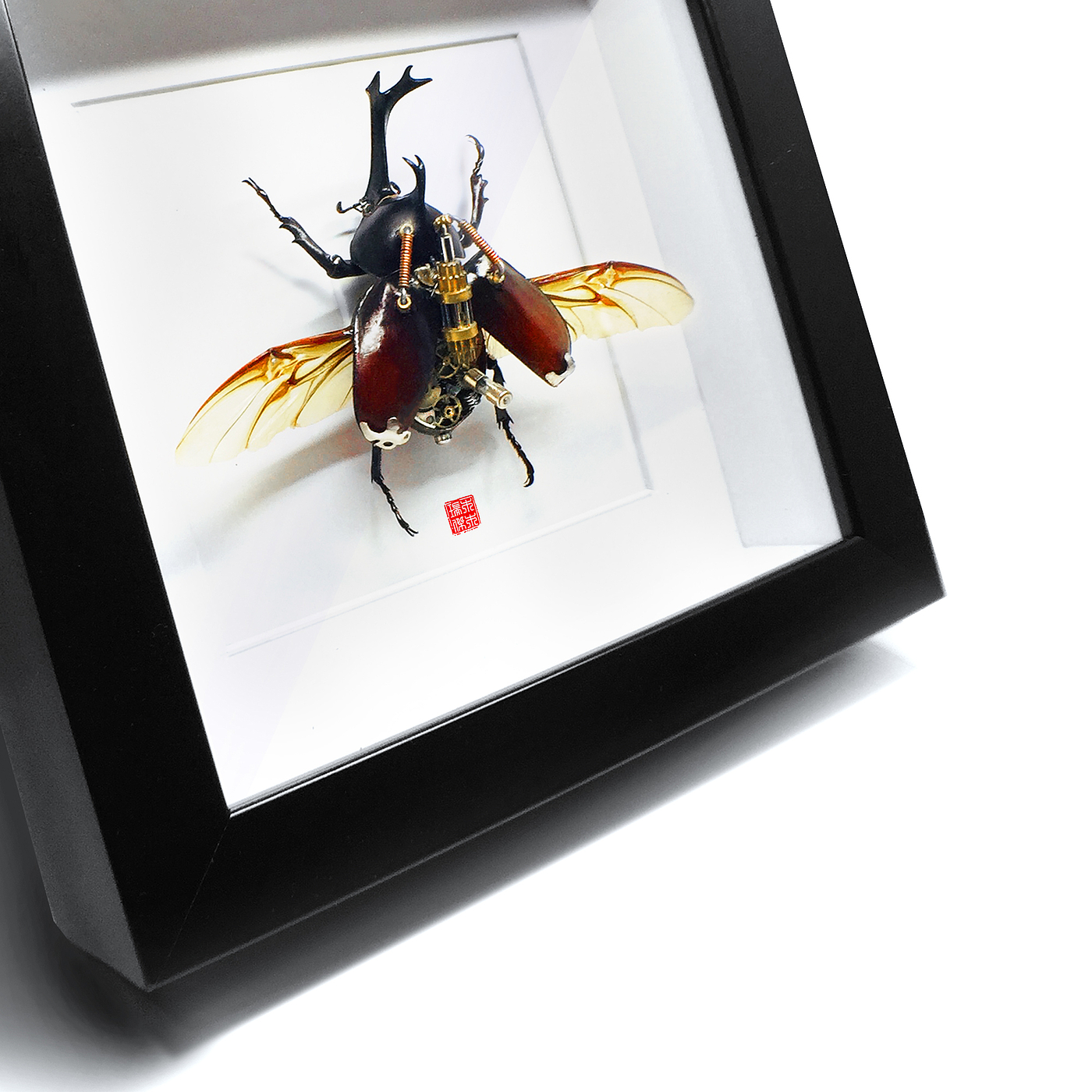 insect，specimen，Uang，Steampunk，handicraft，original，