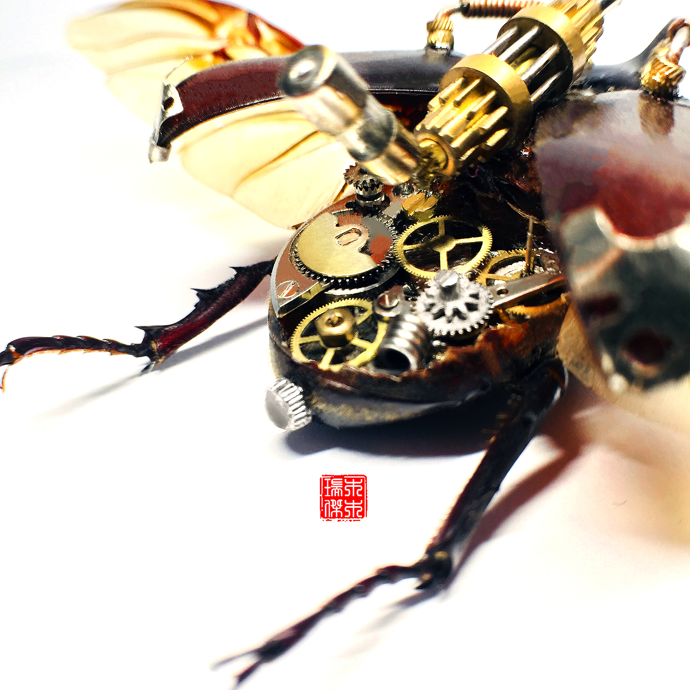 insect，specimen，Uang，Steampunk，handicraft，original，