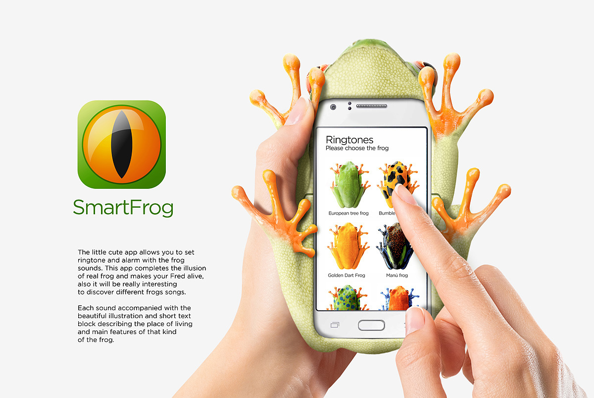 Fred，Smart Frog，Igor Mitin，frog，Mobile phone shell，