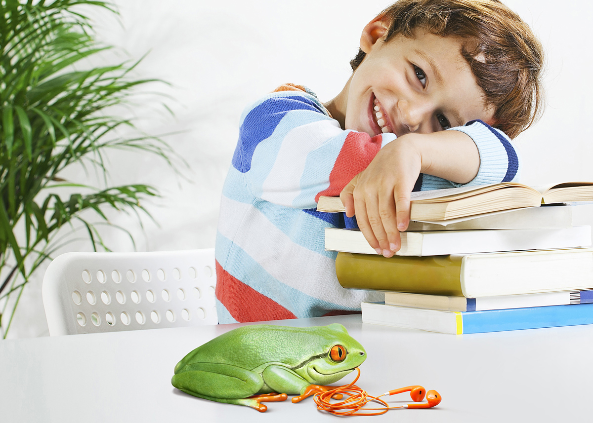 Fred，Smart Frog，Igor Mitin，frog，Mobile phone shell，