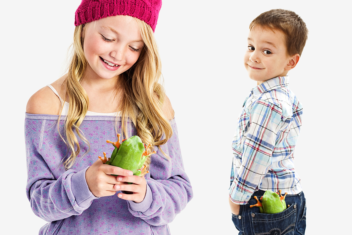 Fred，Smart Frog，Igor Mitin，frog，Mobile phone shell，