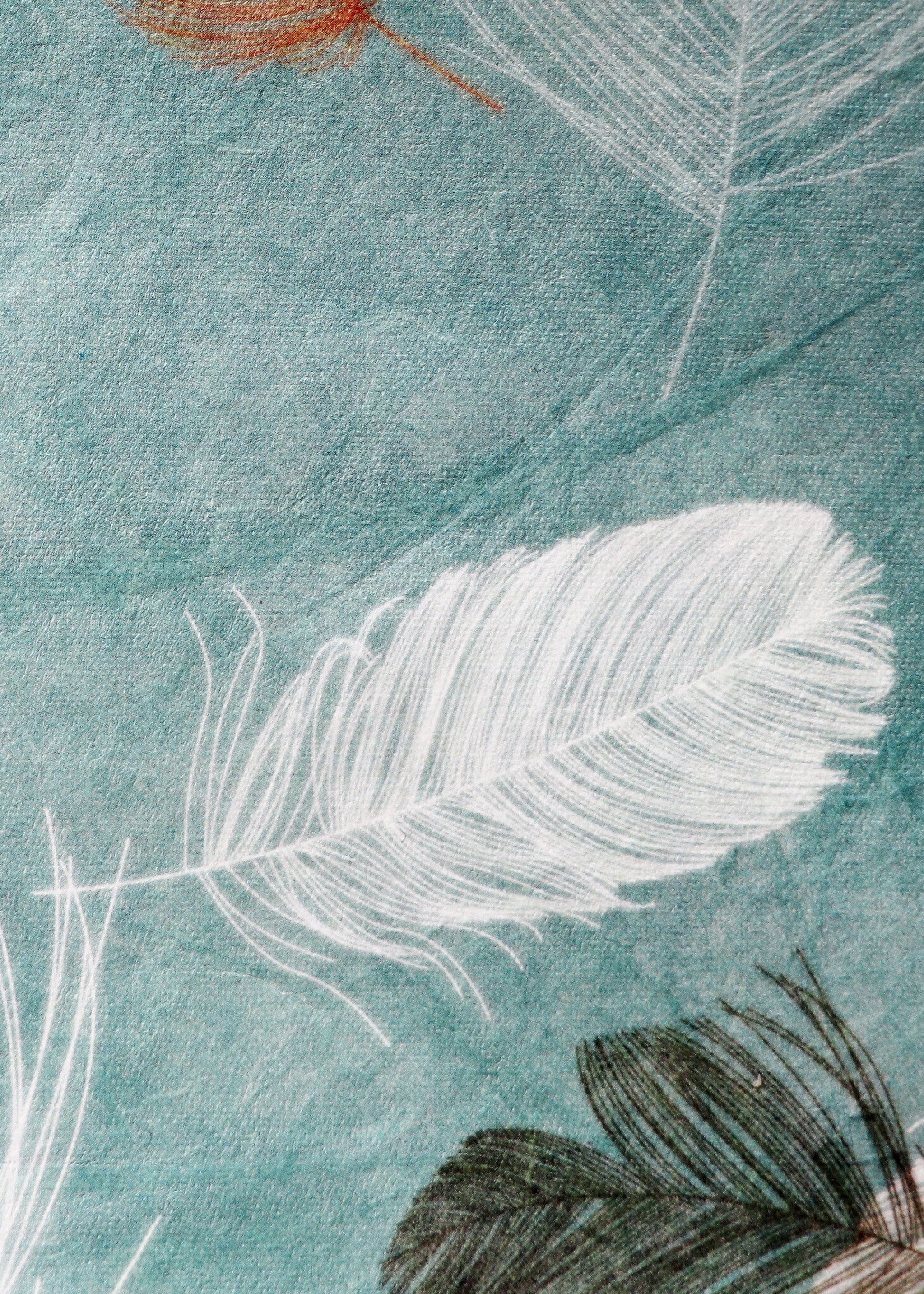 New material，Design Competition，brand，