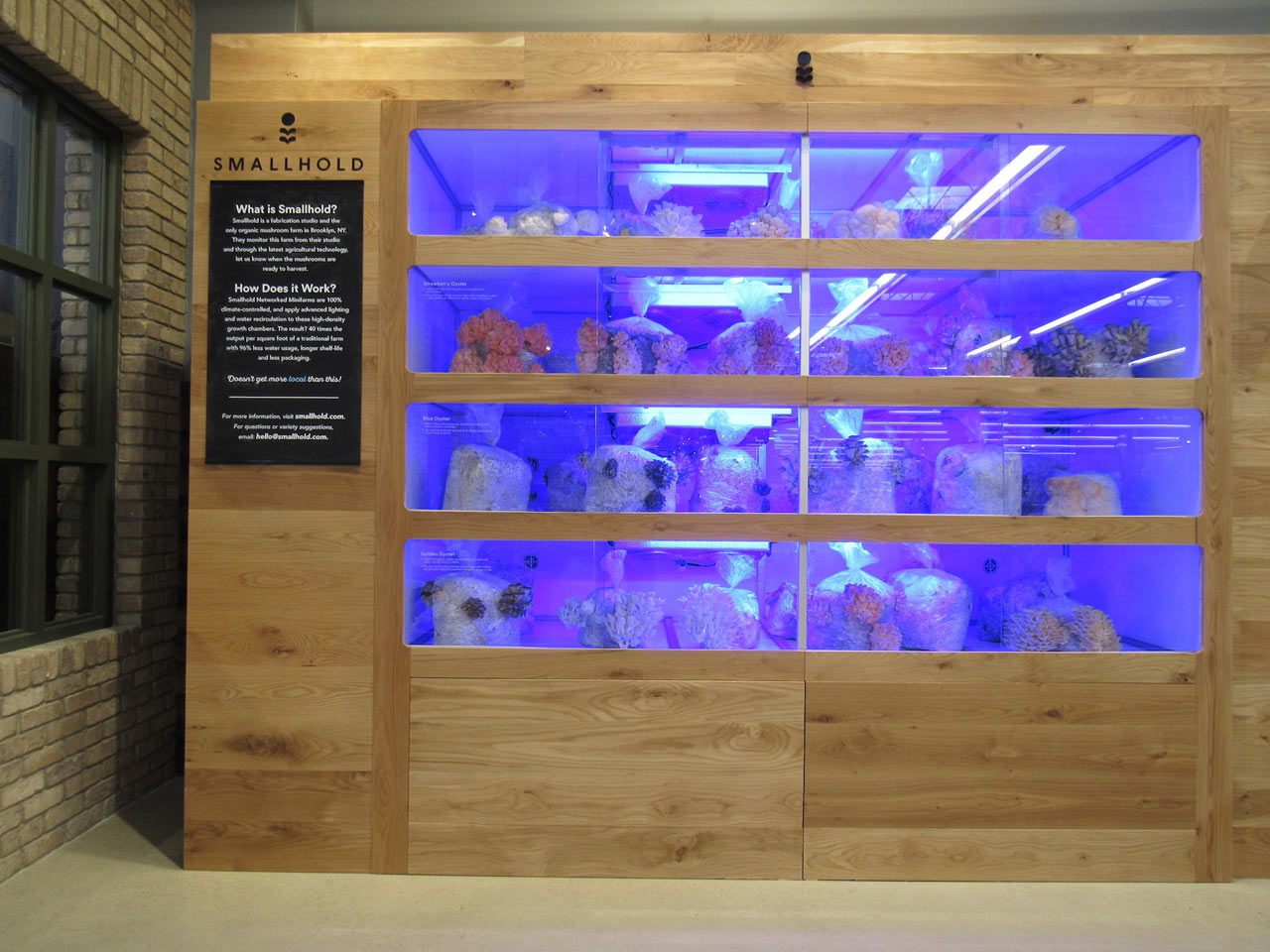 agriculture products，fresh，Smallhold，Mushroom，