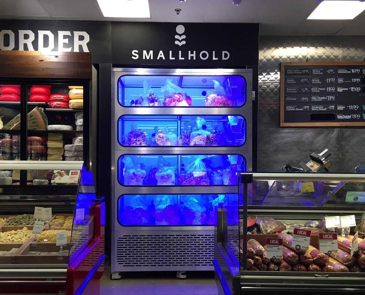 agriculture products，fresh，Smallhold，Mushroom，