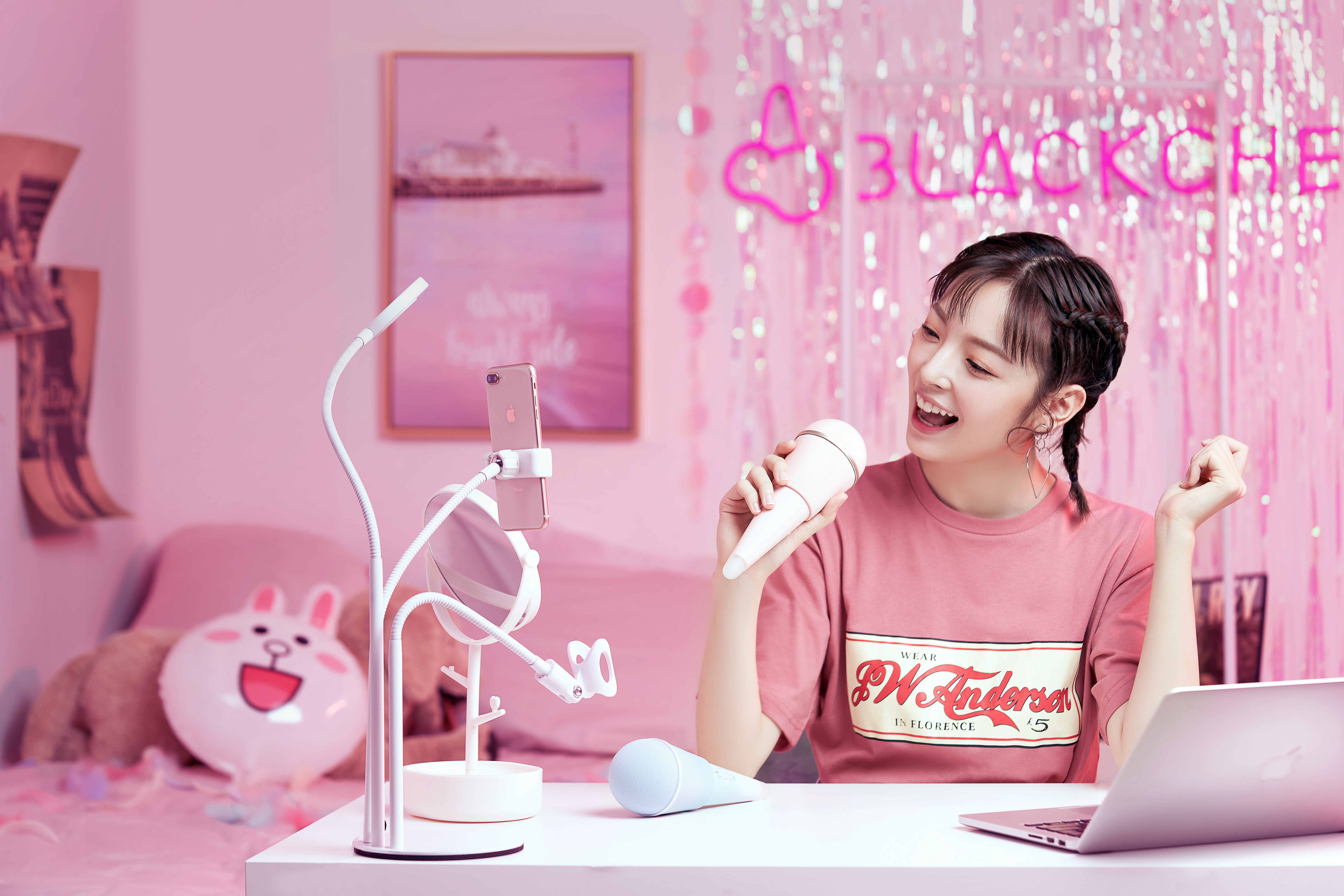 Maiden heart，loudspeaker box，Microphone，