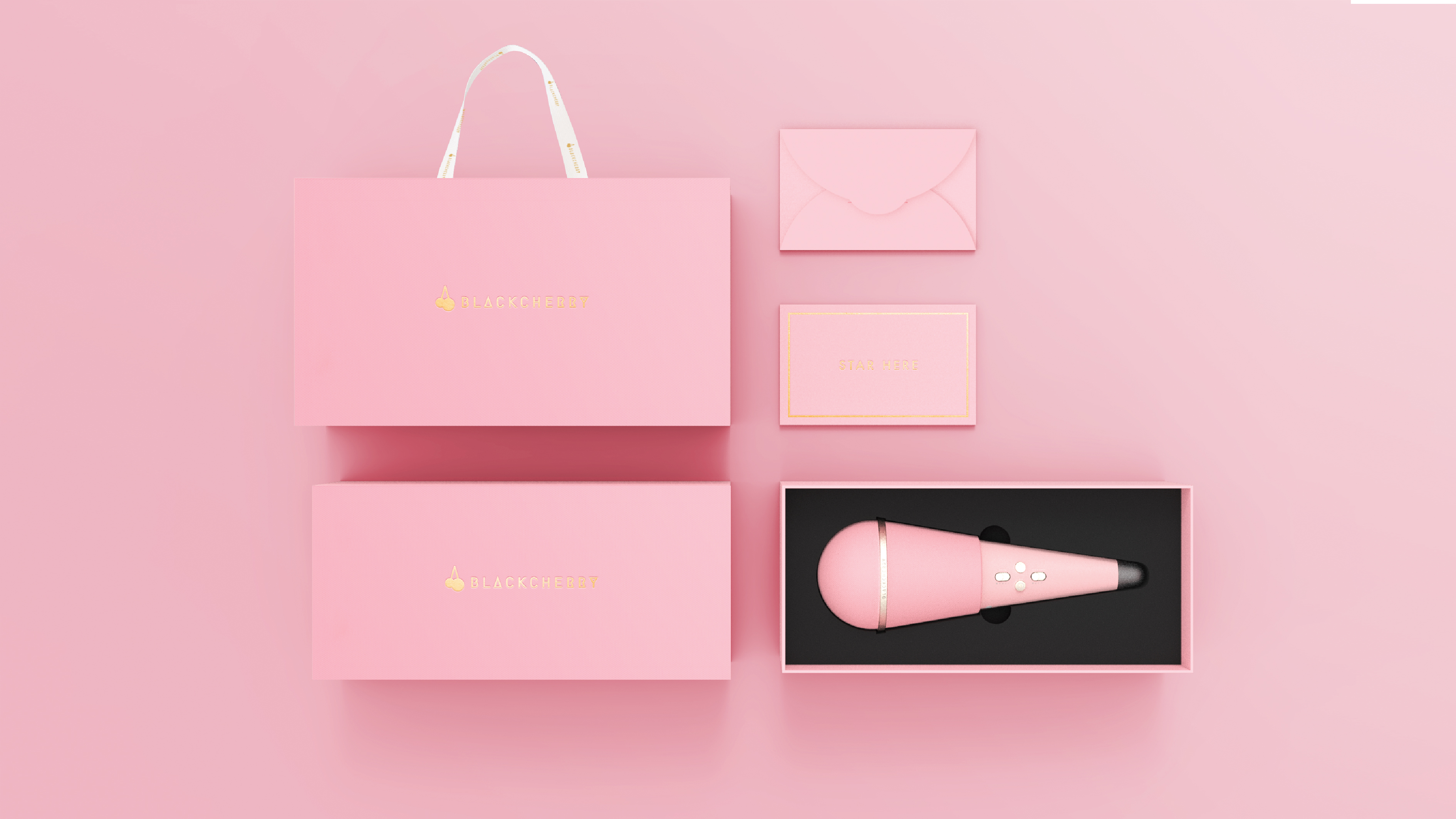 Maiden heart，loudspeaker box，Microphone，