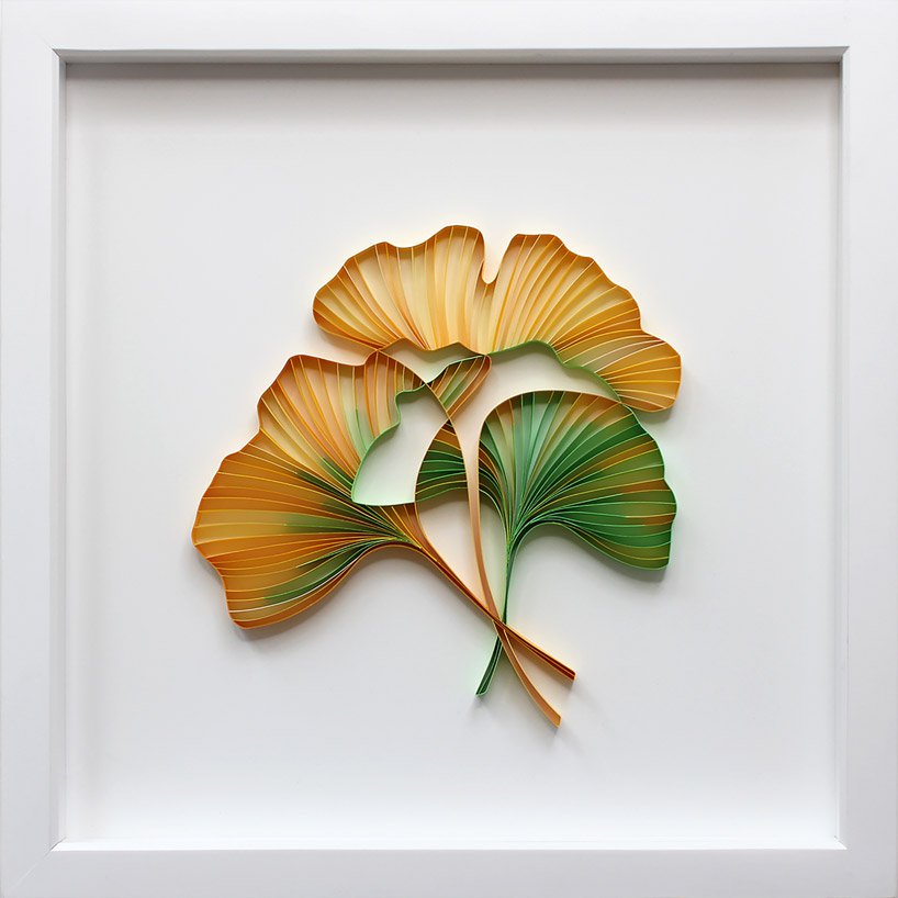 flowers and plants，Botany，Art，paper，