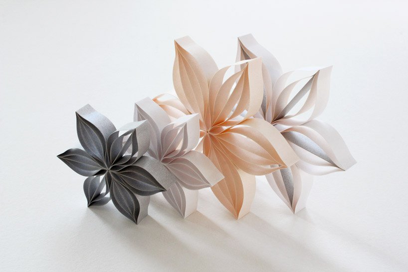 flowers and plants，Botany，Art，paper，