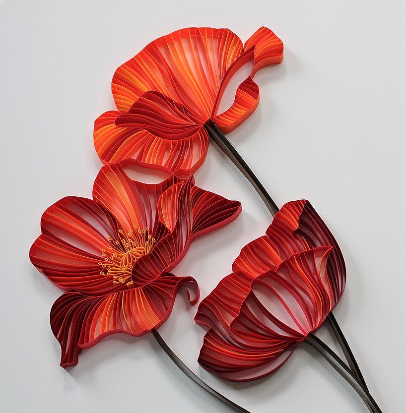 flowers and plants，Botany，Art，paper，