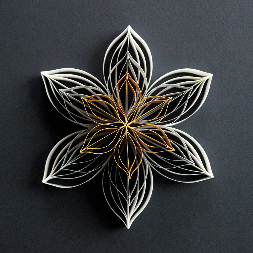 flowers and plants，Botany，Art，paper，