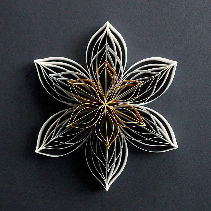 flowers and plants，Botany，Art，paper，