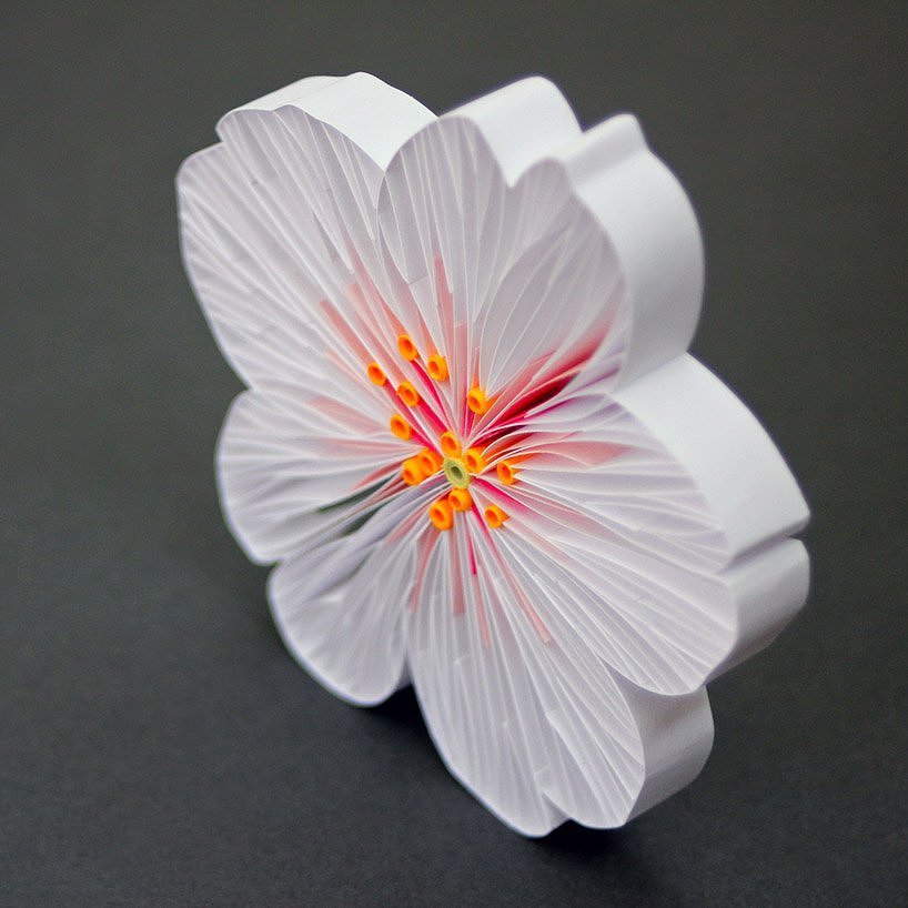 flowers and plants，Botany，Art，paper，
