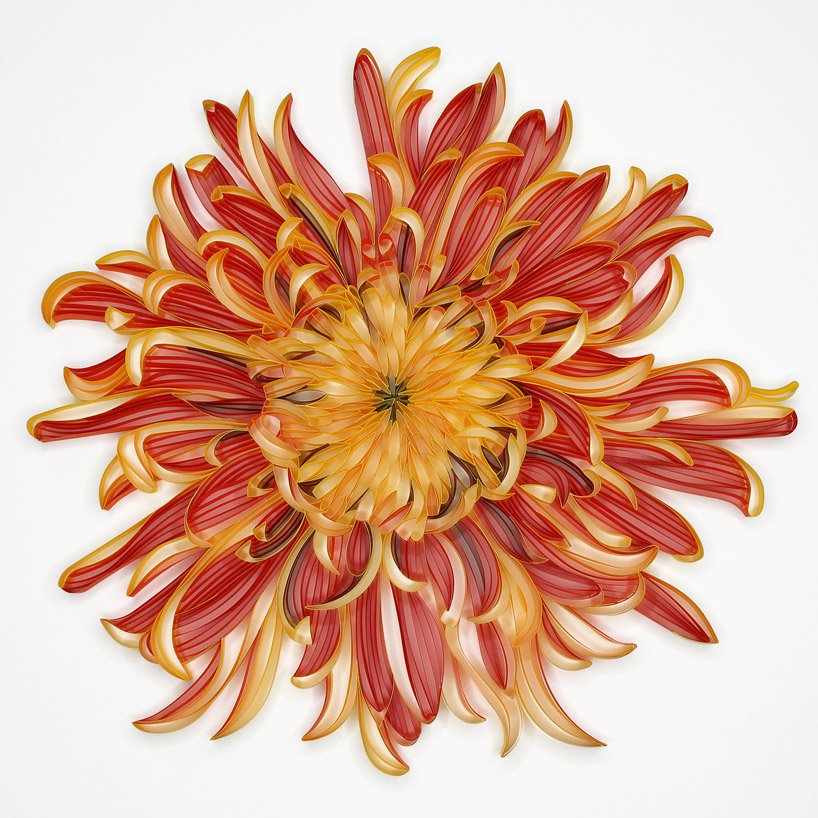 flowers and plants，Botany，Art，paper，