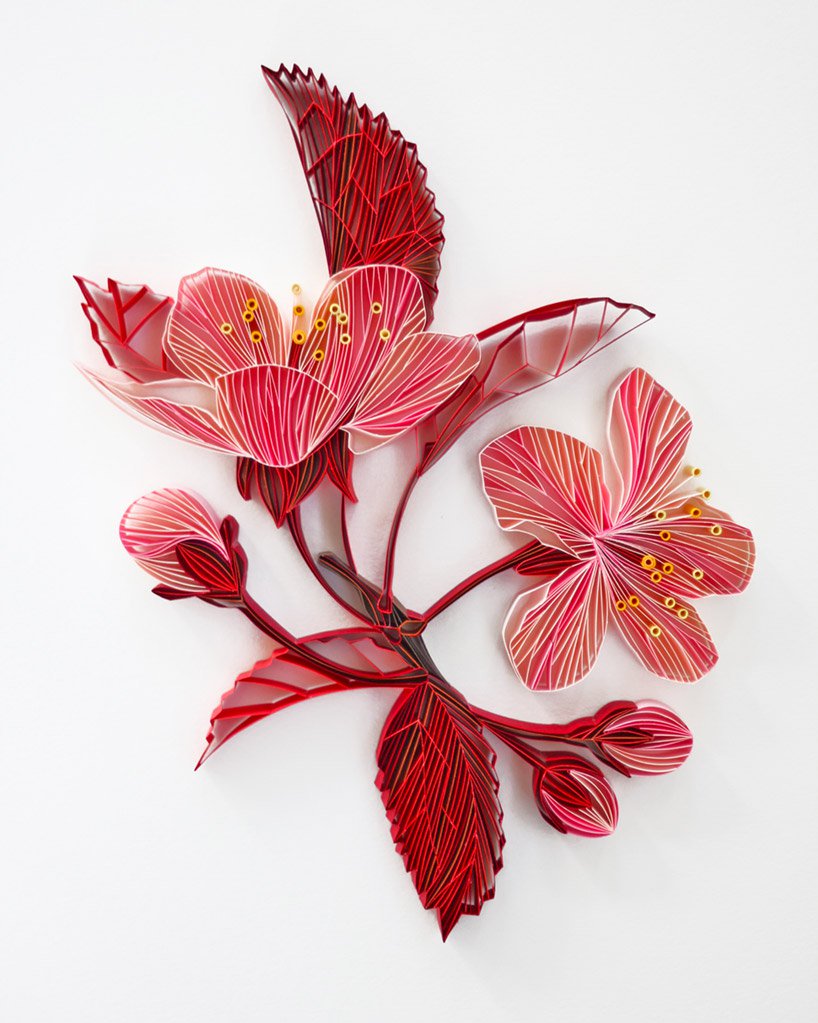 flowers and plants，Botany，Art，paper，