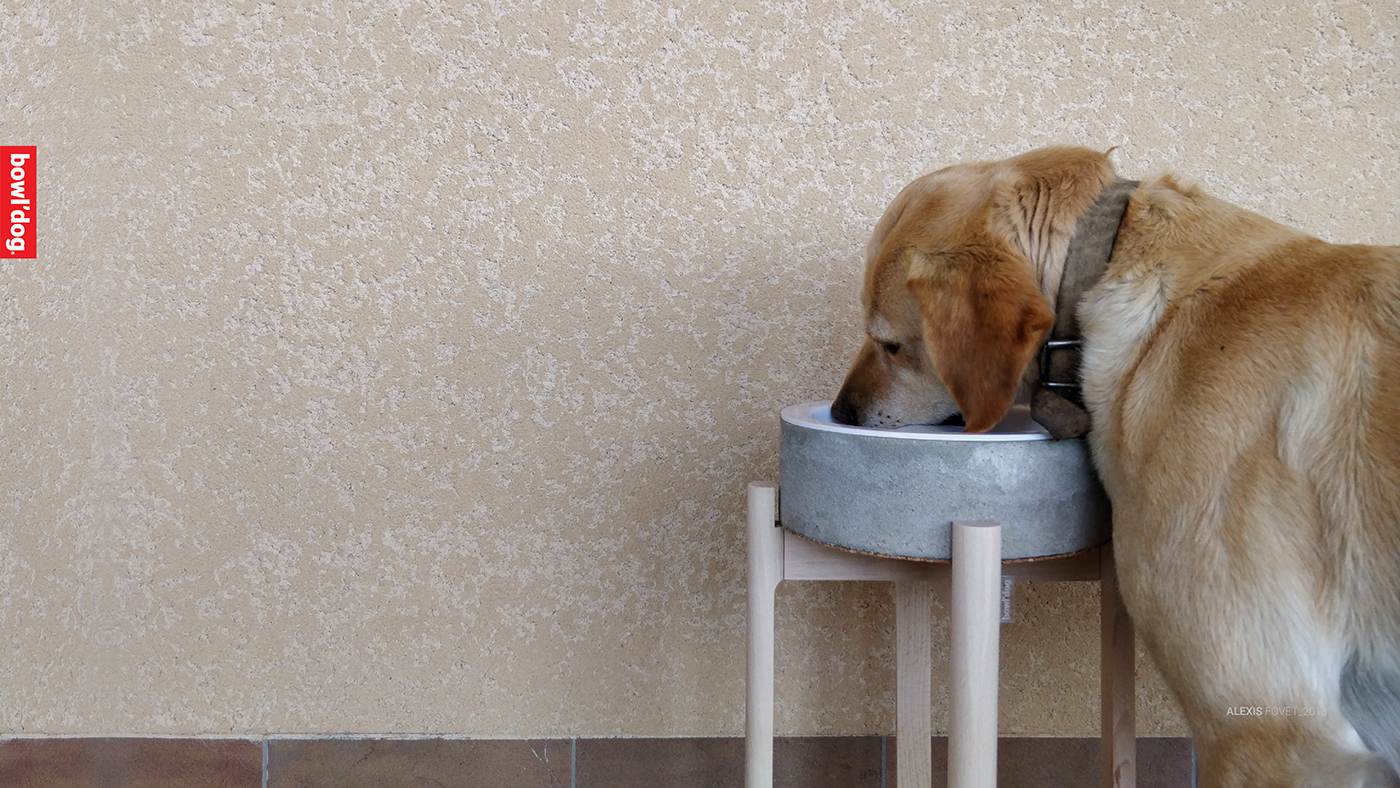 Alexis FOVET，Hairy child，Pets，Dog，Bowl'dog，Dog bowl rack，