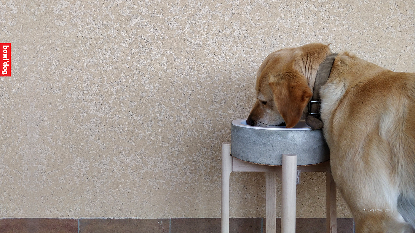 Alexis FOVET，Hairy child，Pets，Dog，Bowl'dog，Dog bowl rack，