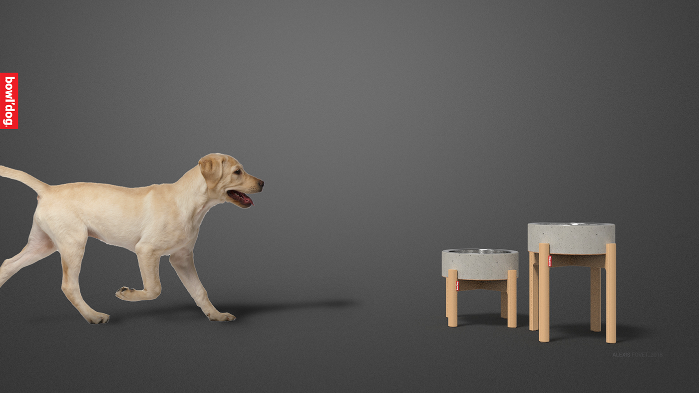 Alexis FOVET，Hairy child，Pets，Dog，Bowl'dog，Dog bowl rack，