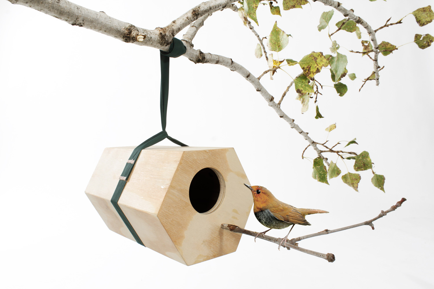 wood，Bird house，Home Furnishing，decorate，originality，