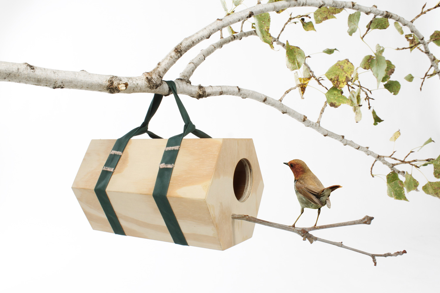 wood，Bird house，Home Furnishing，decorate，originality，