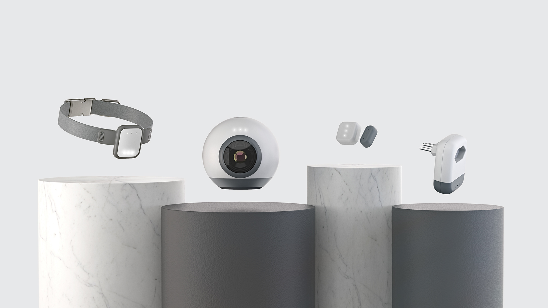 grey，Smart dog ring，migo，