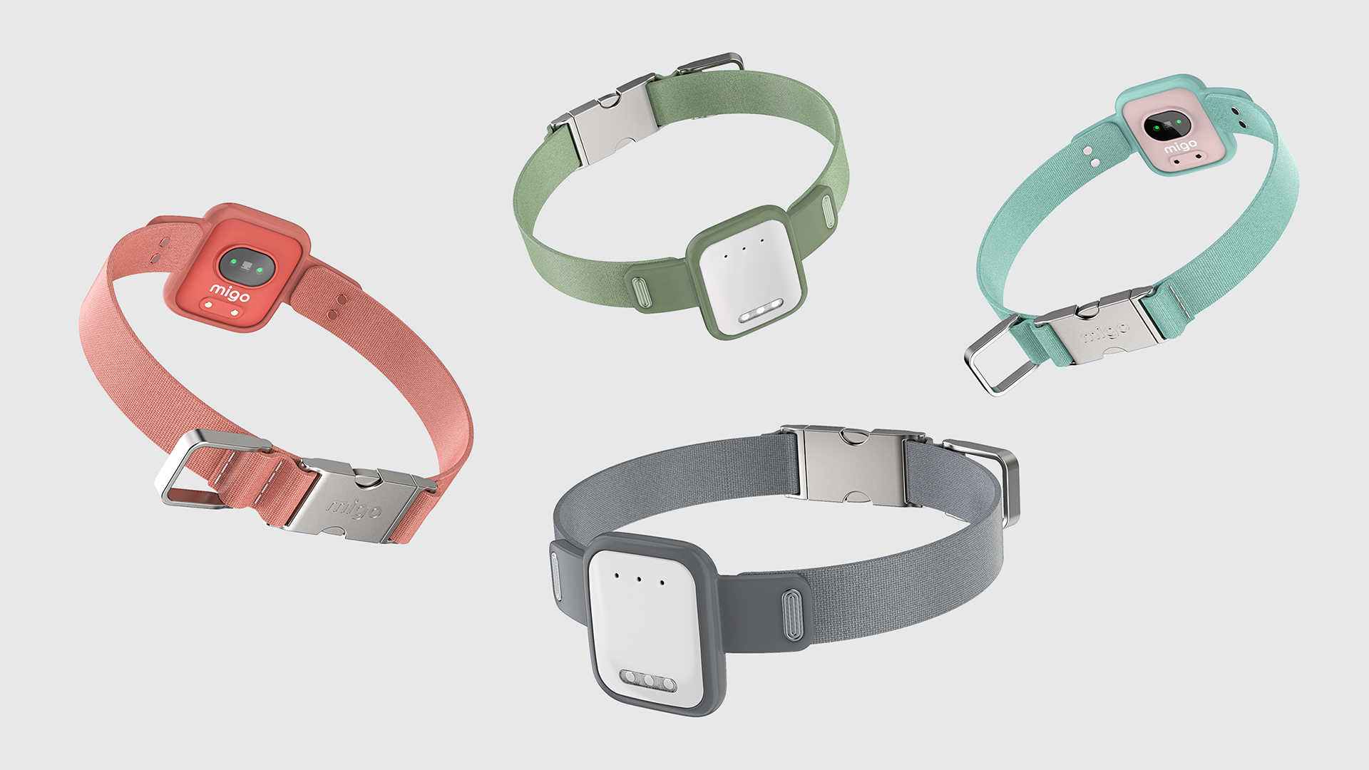 grey，Smart dog ring，migo，