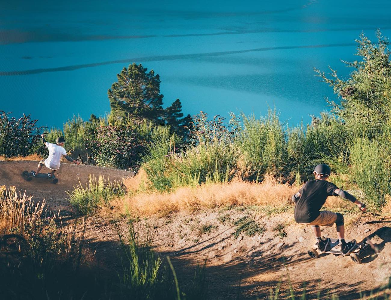 glass fibre，Skate，The Evolve Bamboo GT，