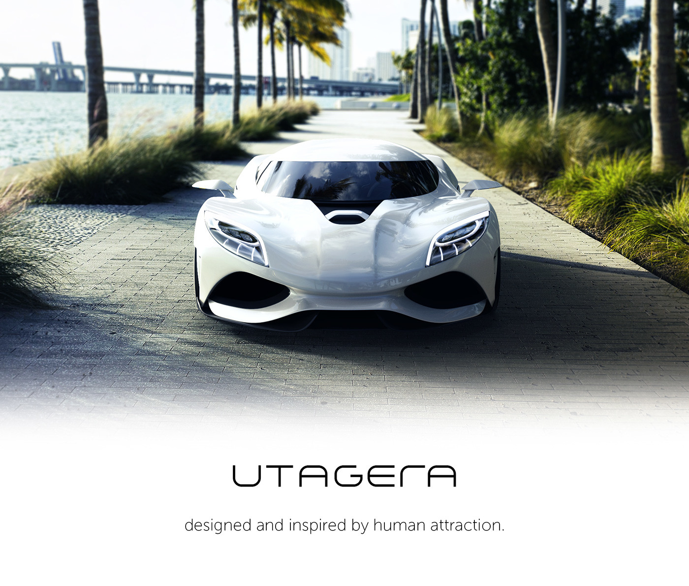 Automatic design，fresh，Beautiful color，Beautiful appearance，Tenderness，