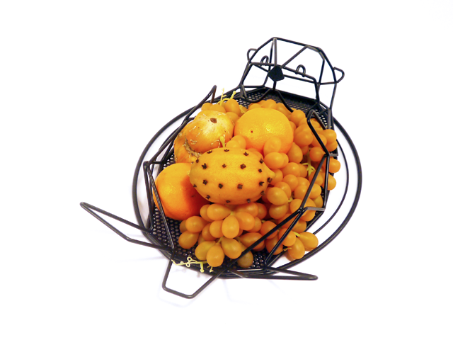 animal，Storage rack，geometry，Line，Home Furnishing，furniture，