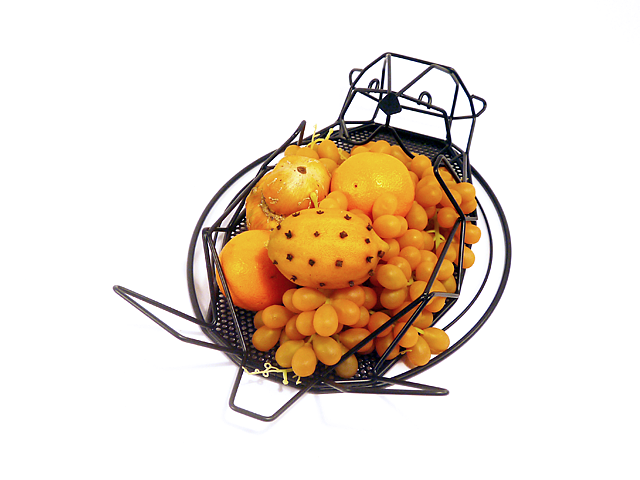 animal，Storage rack，geometry，Line，Home Furnishing，furniture，