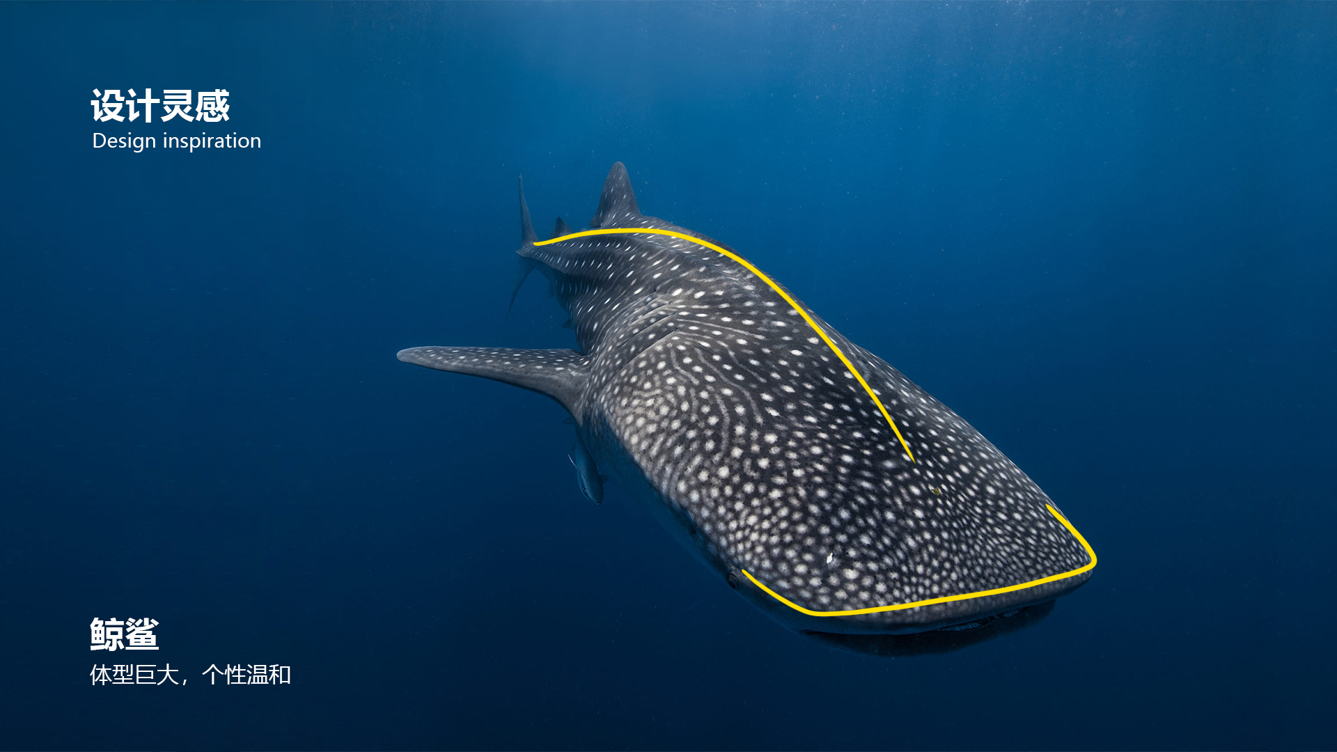 vehicle，Concept Car，Mommy. CC，