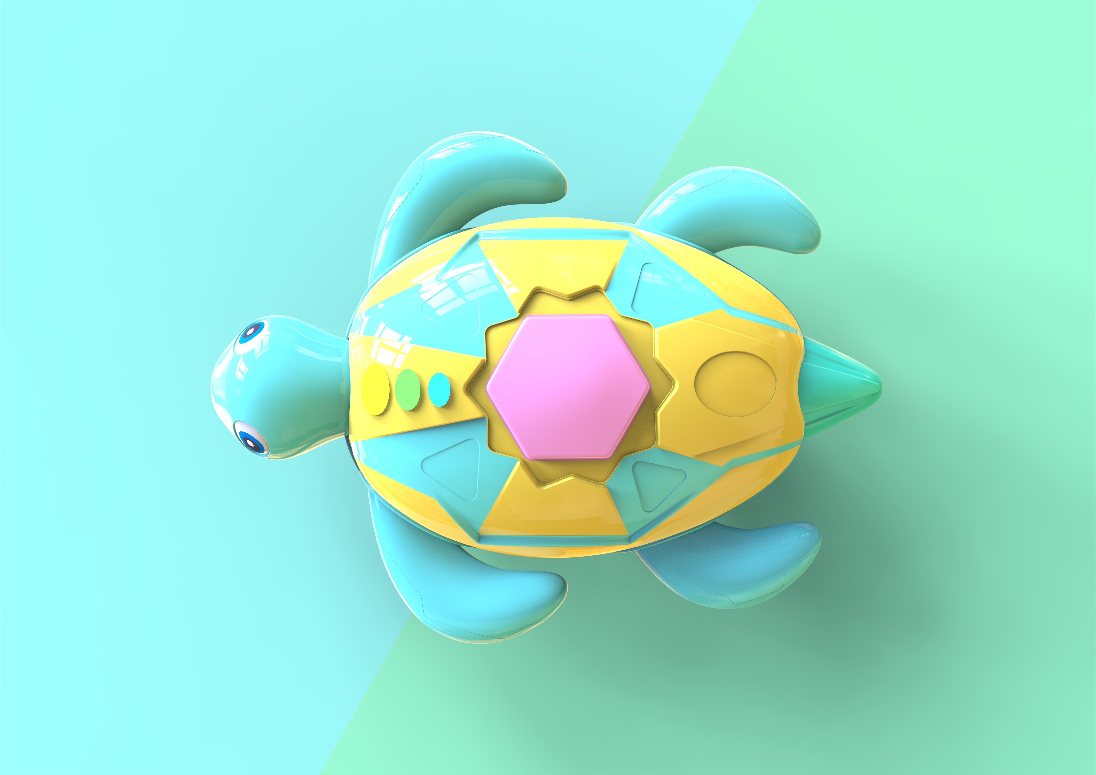 It is a children's pet turtle，