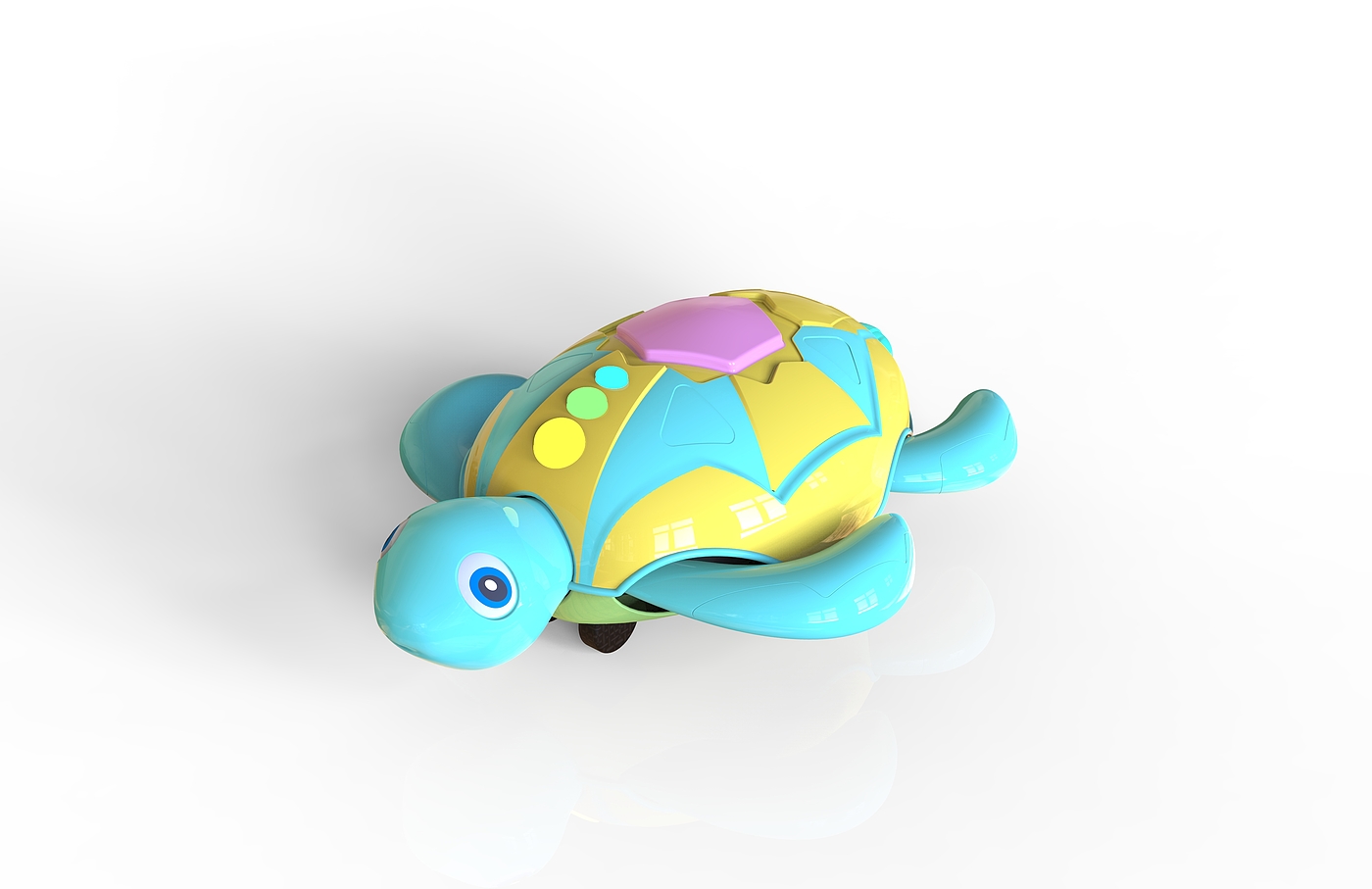 It is a children's pet turtle，