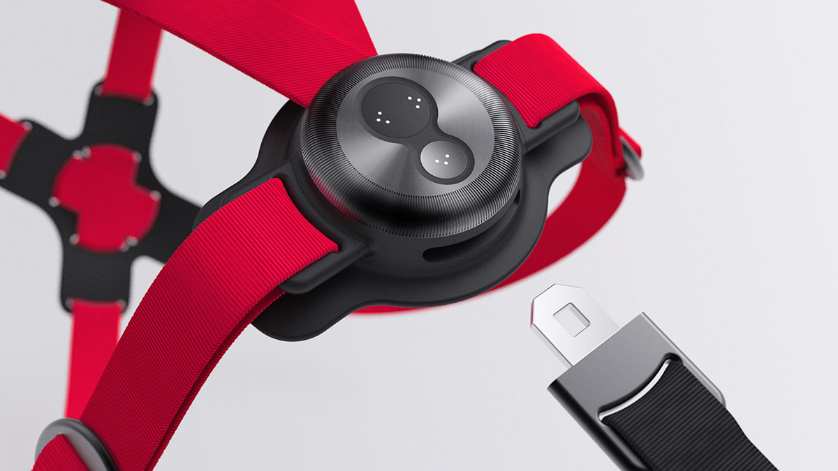 Purina，Smart dog rope，gules，