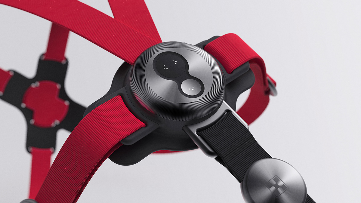 Purina，Smart dog rope，gules，