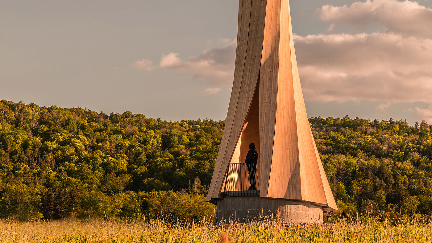 Architectural design，wood，brown，