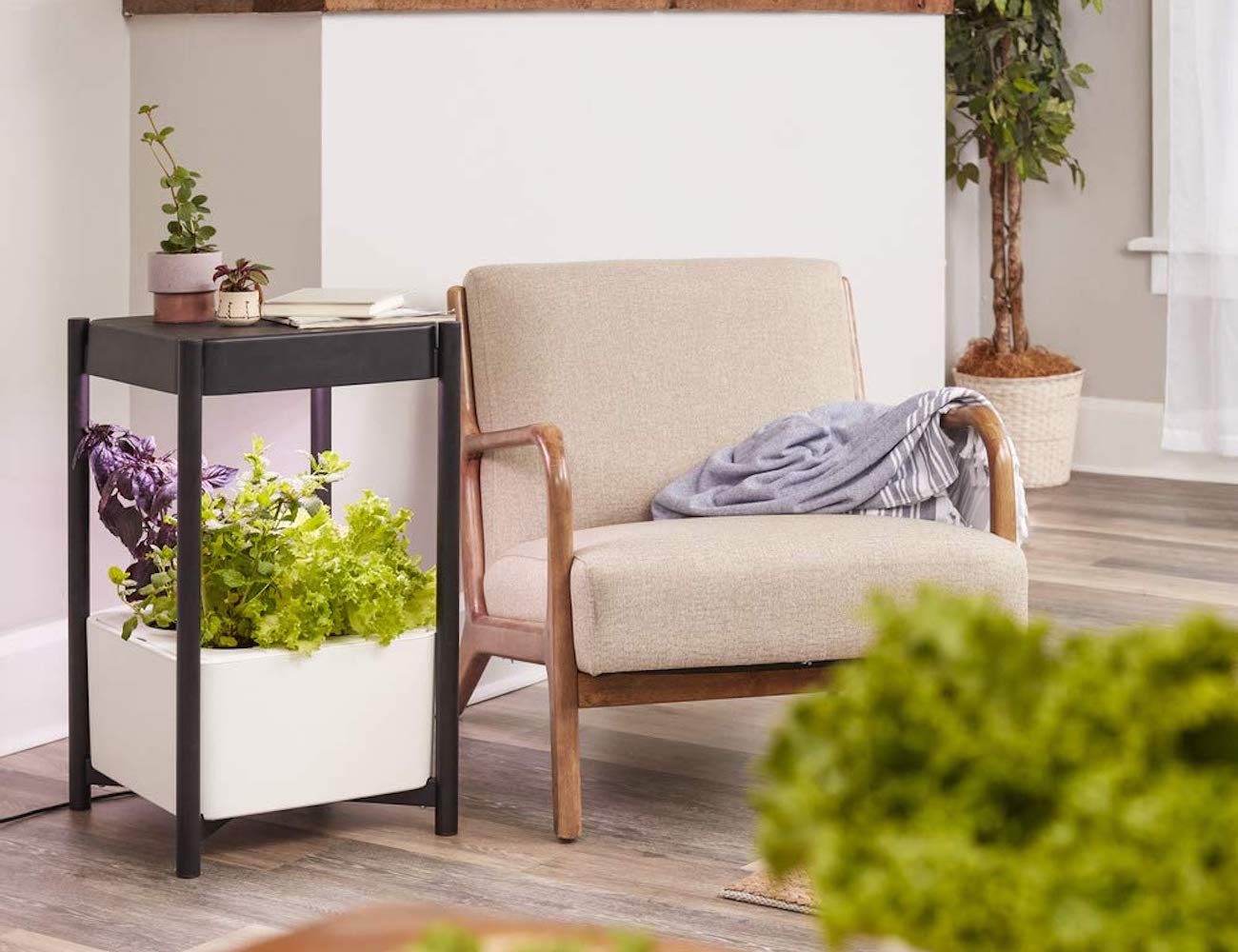 white，Planting system，Miracle-Gro，