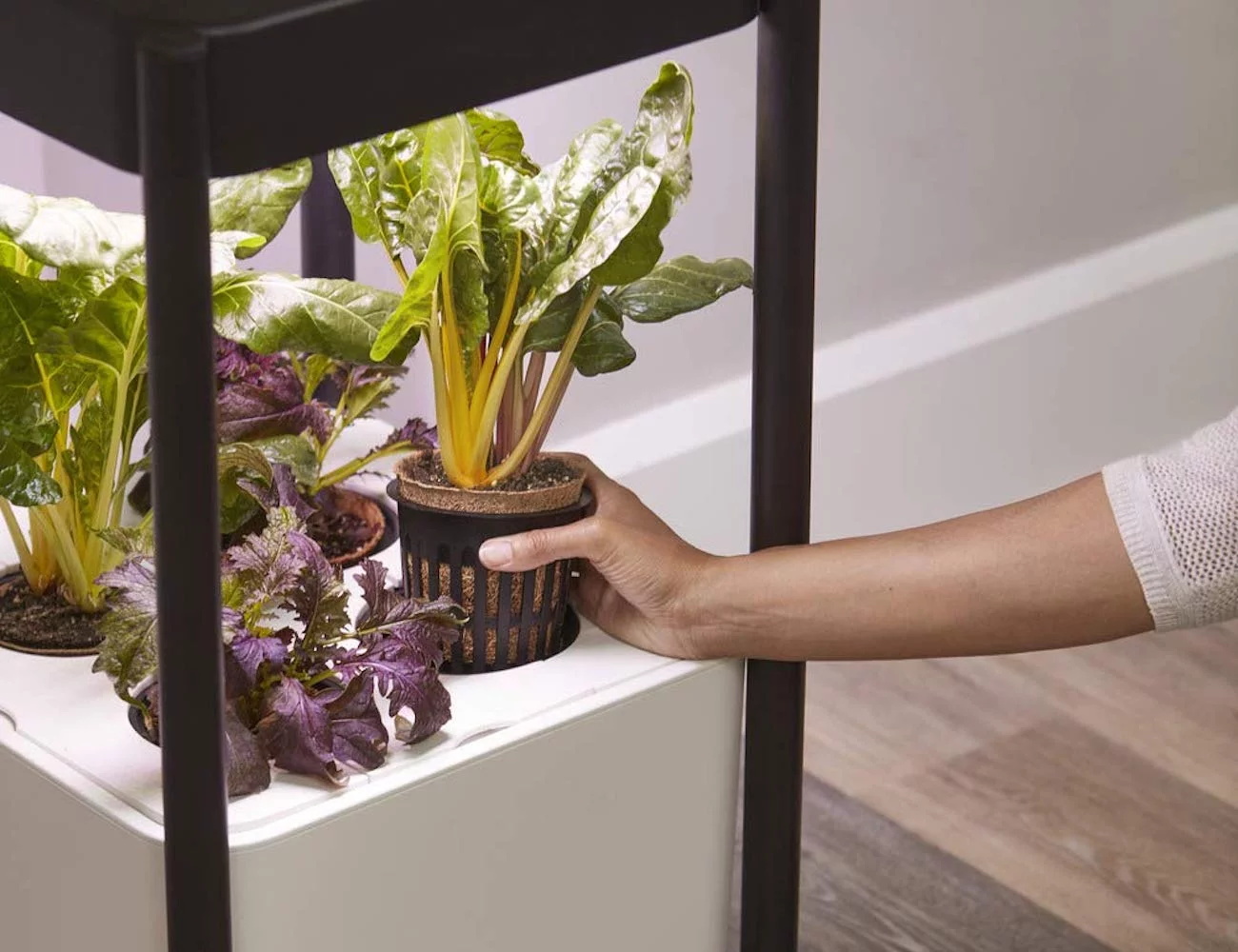 white，Planting system，Miracle-Gro，