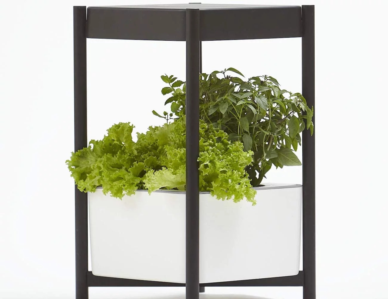 white，Planting system，Miracle-Gro，