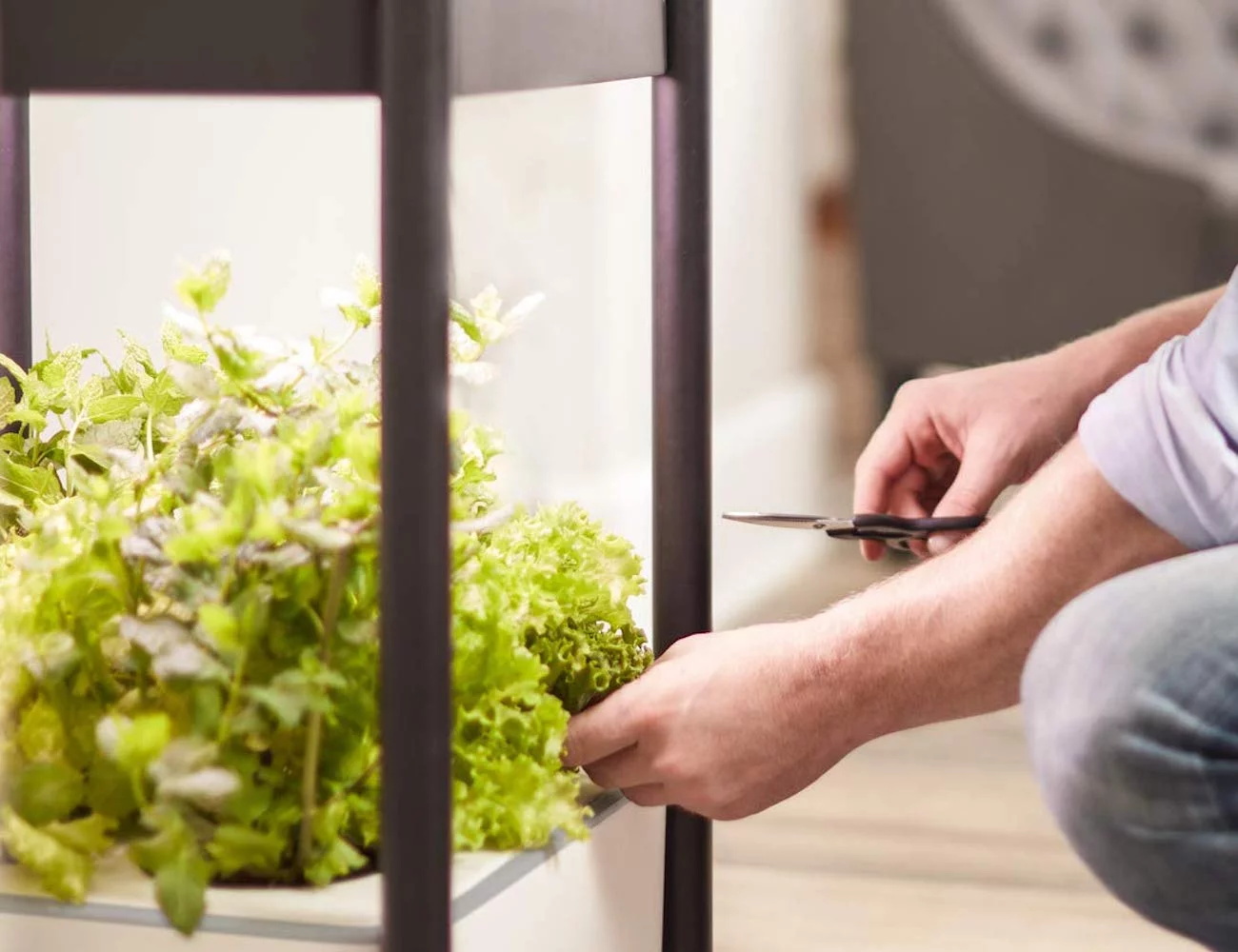 white，Planting system，Miracle-Gro，