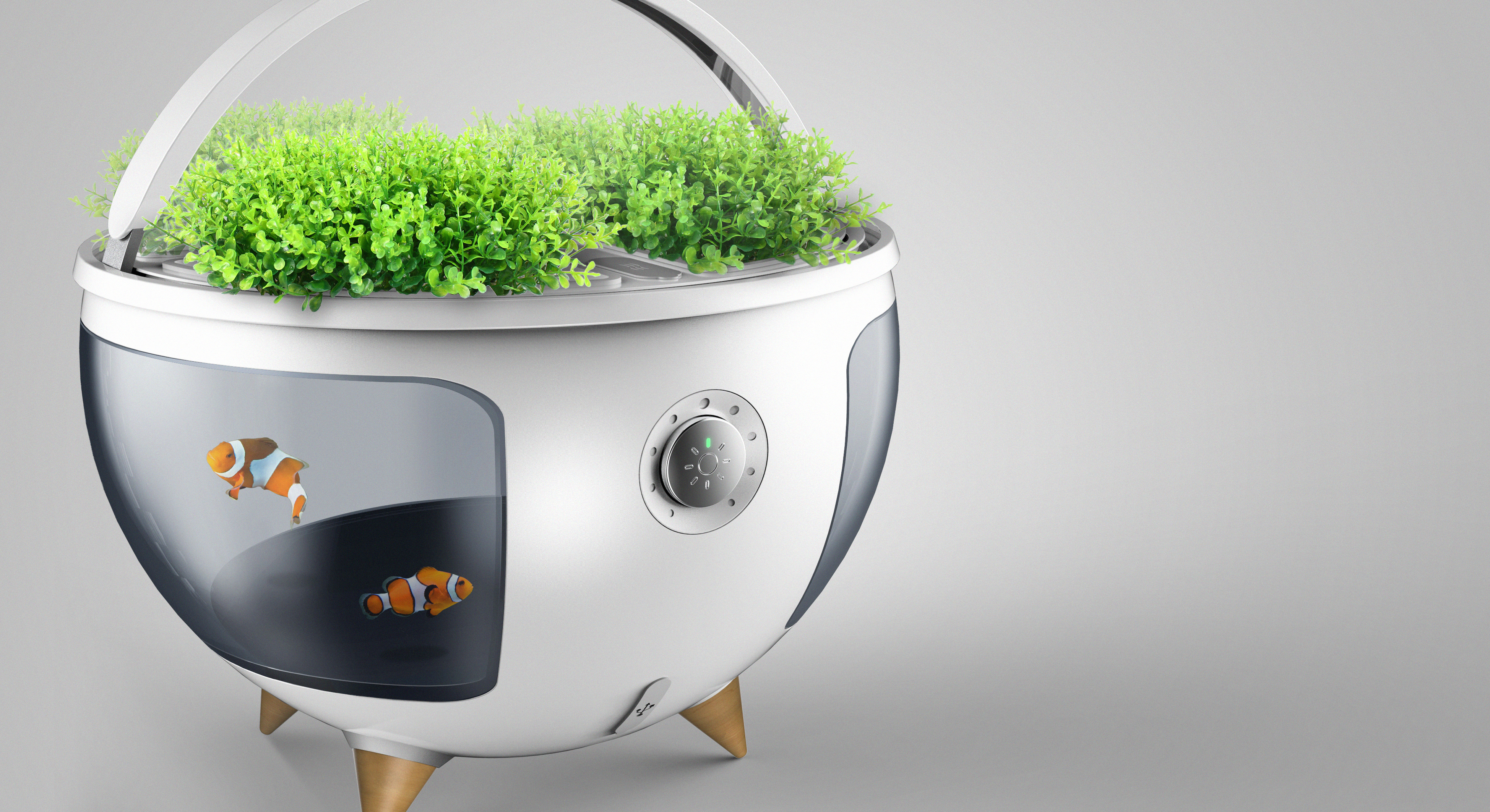 Fish vegetable symbiosis; Household appliances; Northern Europe;，