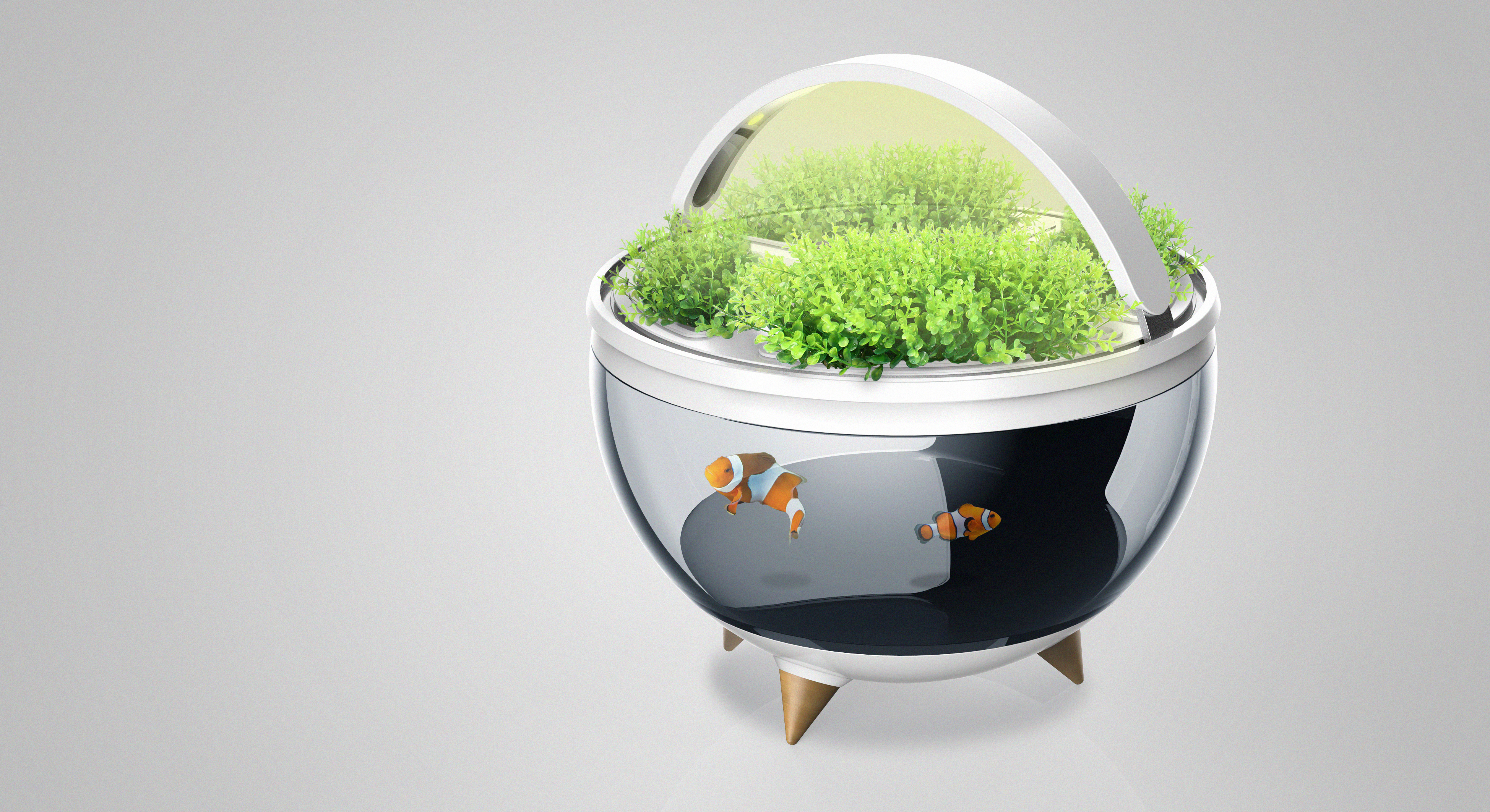 Fish vegetable symbiosis; Household appliances; Northern Europe;，