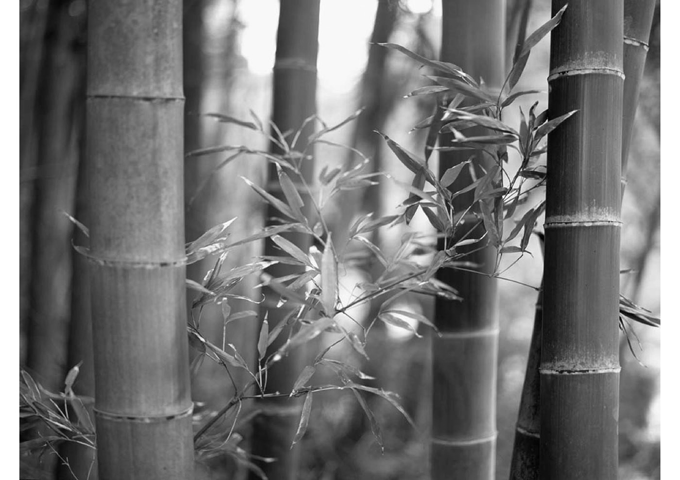 Portable，air cleaner，AIR.C，Junseog Yang，