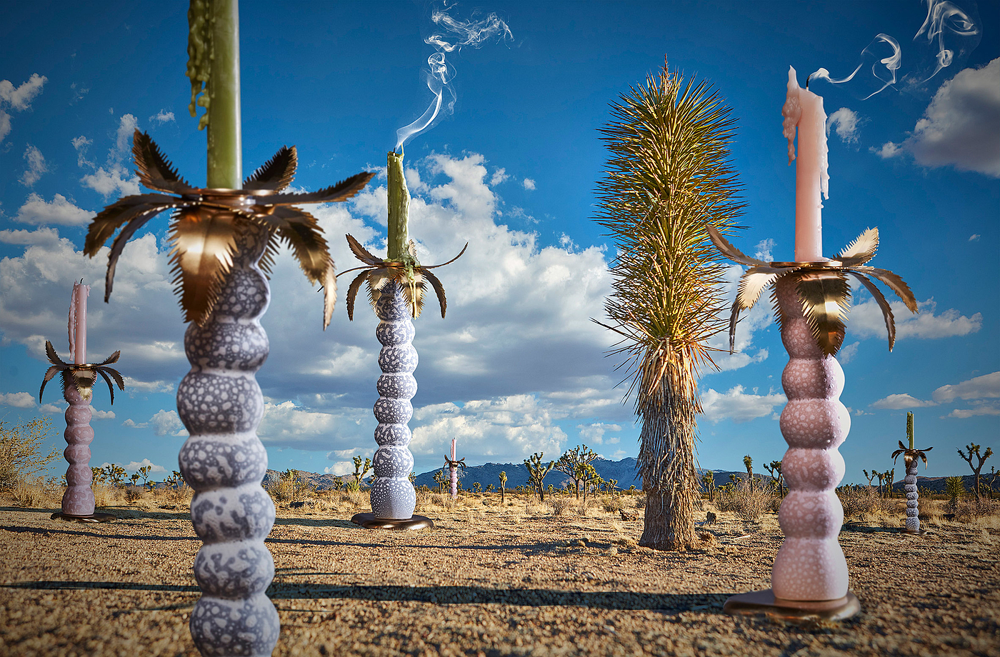 biology，Home Furnishing，Wild Things，