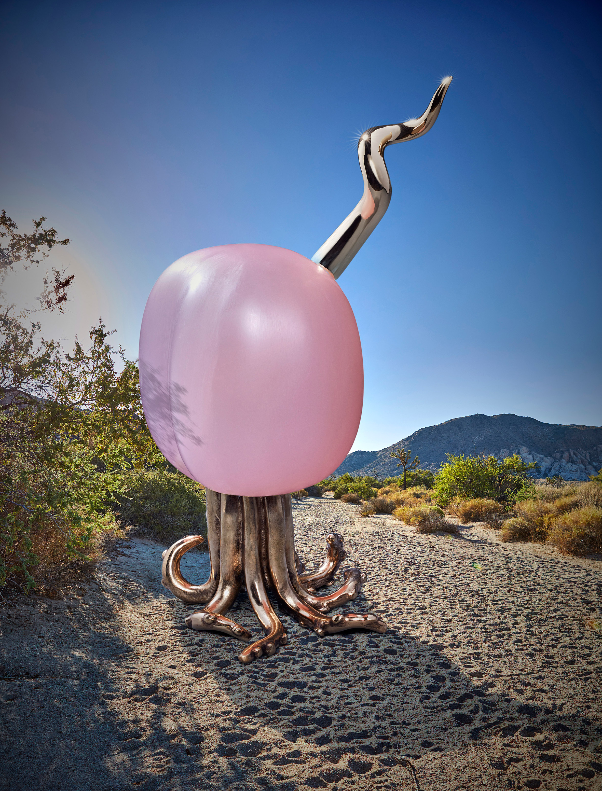 biology，Home Furnishing，Wild Things，