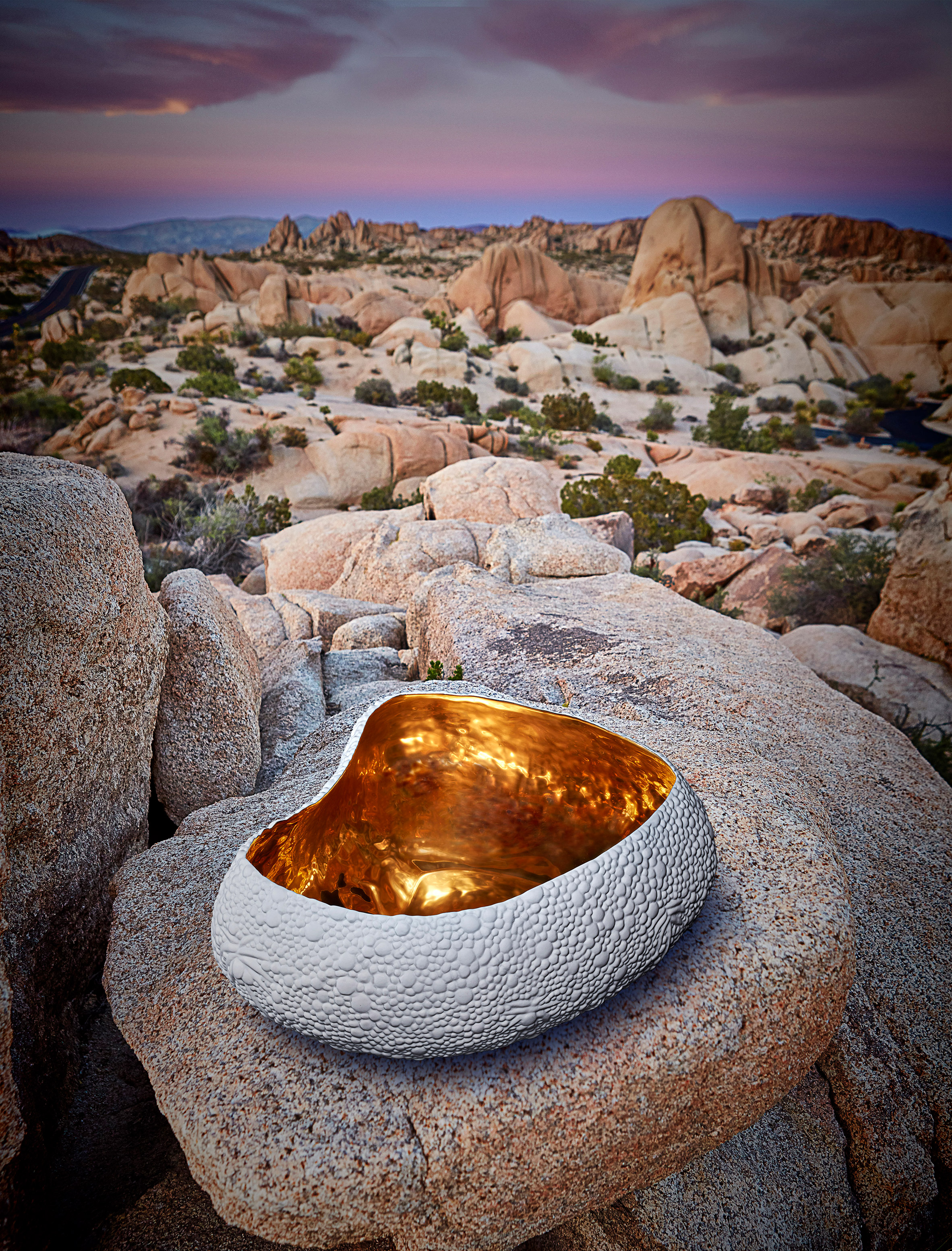 biology，Home Furnishing，Wild Things，