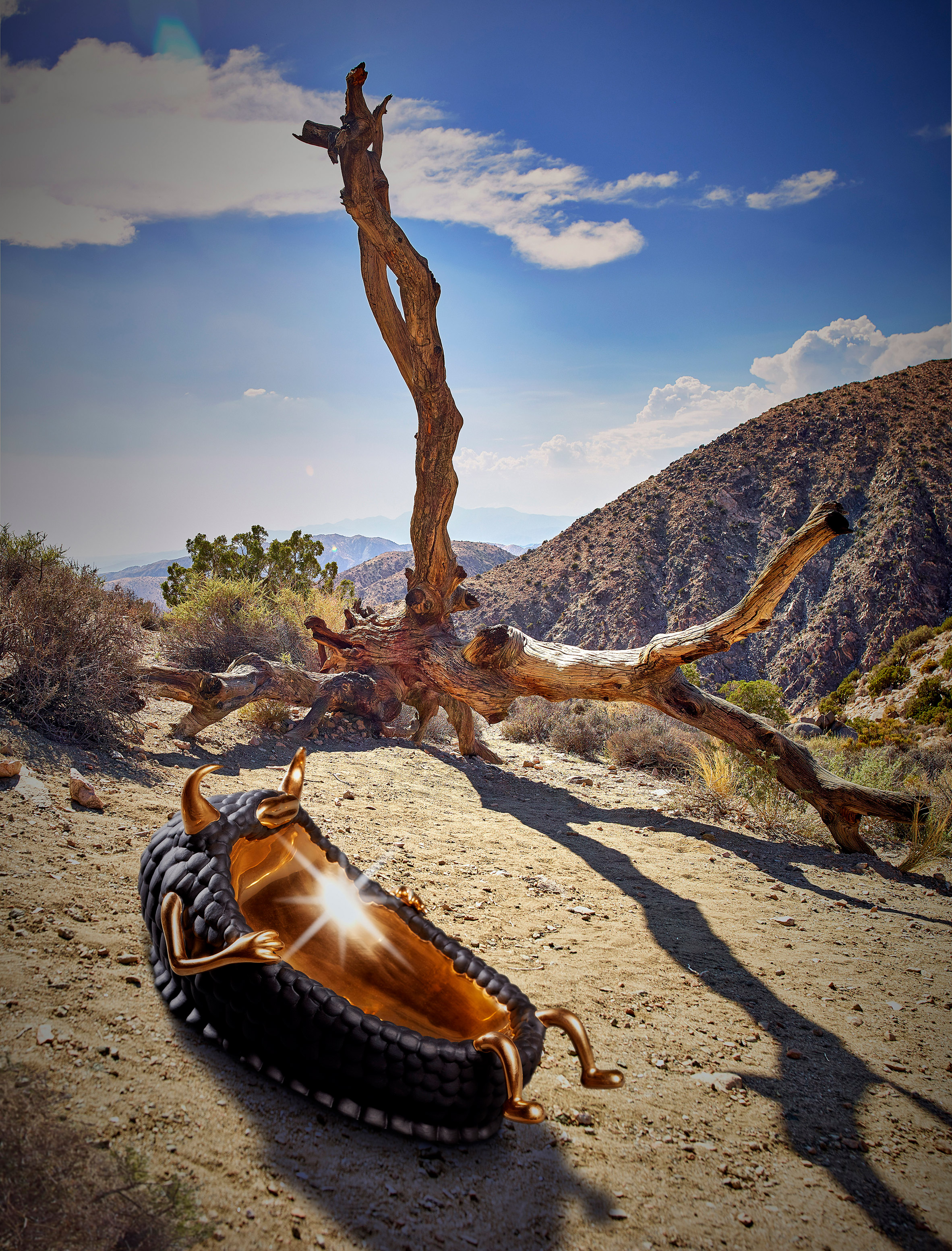 biology，Home Furnishing，Wild Things，