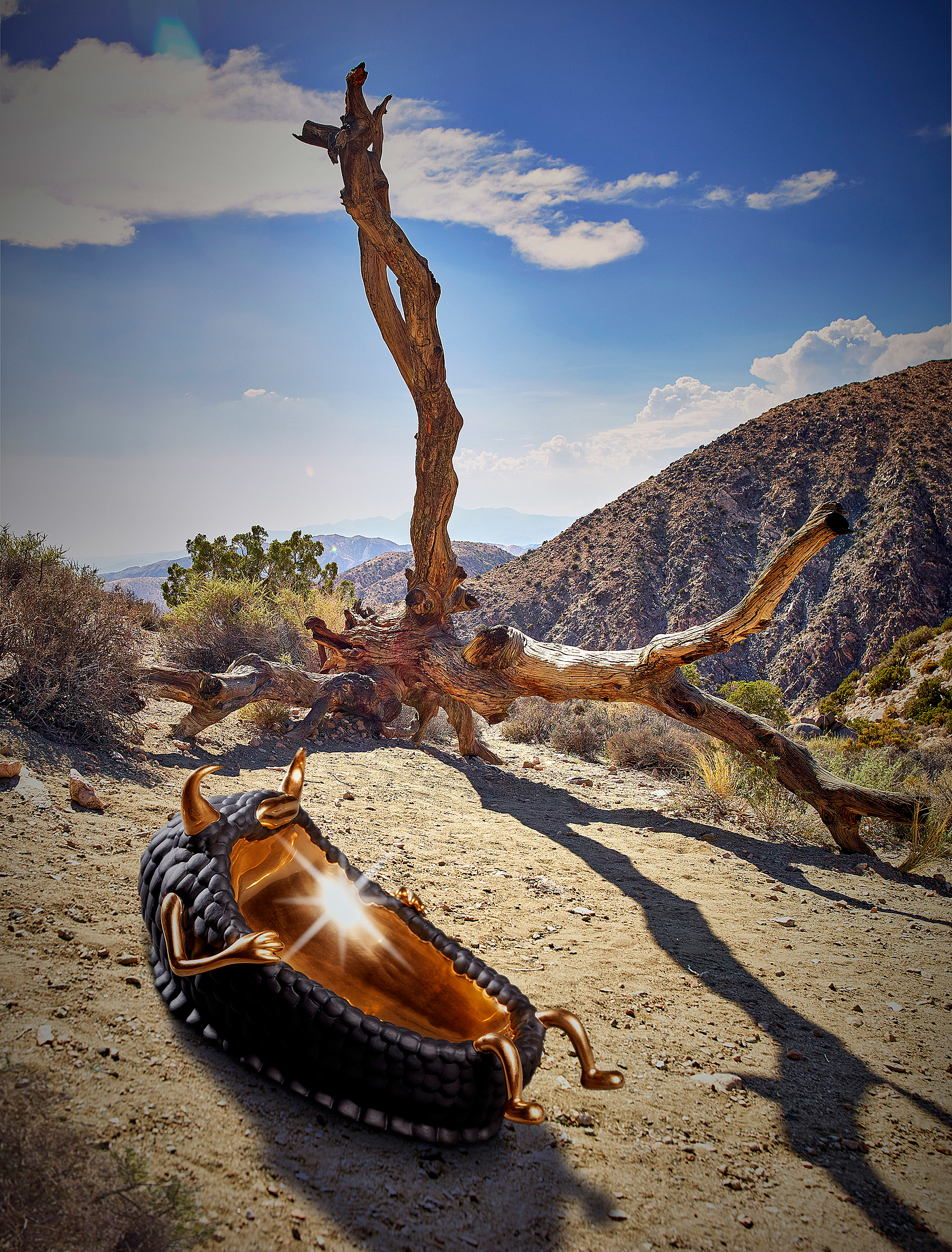 biology，Home Furnishing，Wild Things，